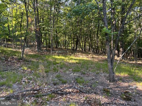 Mountain Home Real Estate, LLC in Berkeley Springs, WV (4)