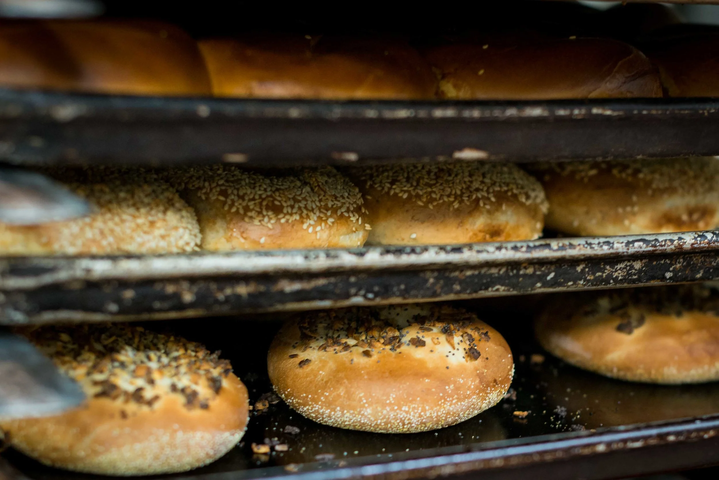 Izzy's Brooklyn Bagels in Palo Alto, CA (3)