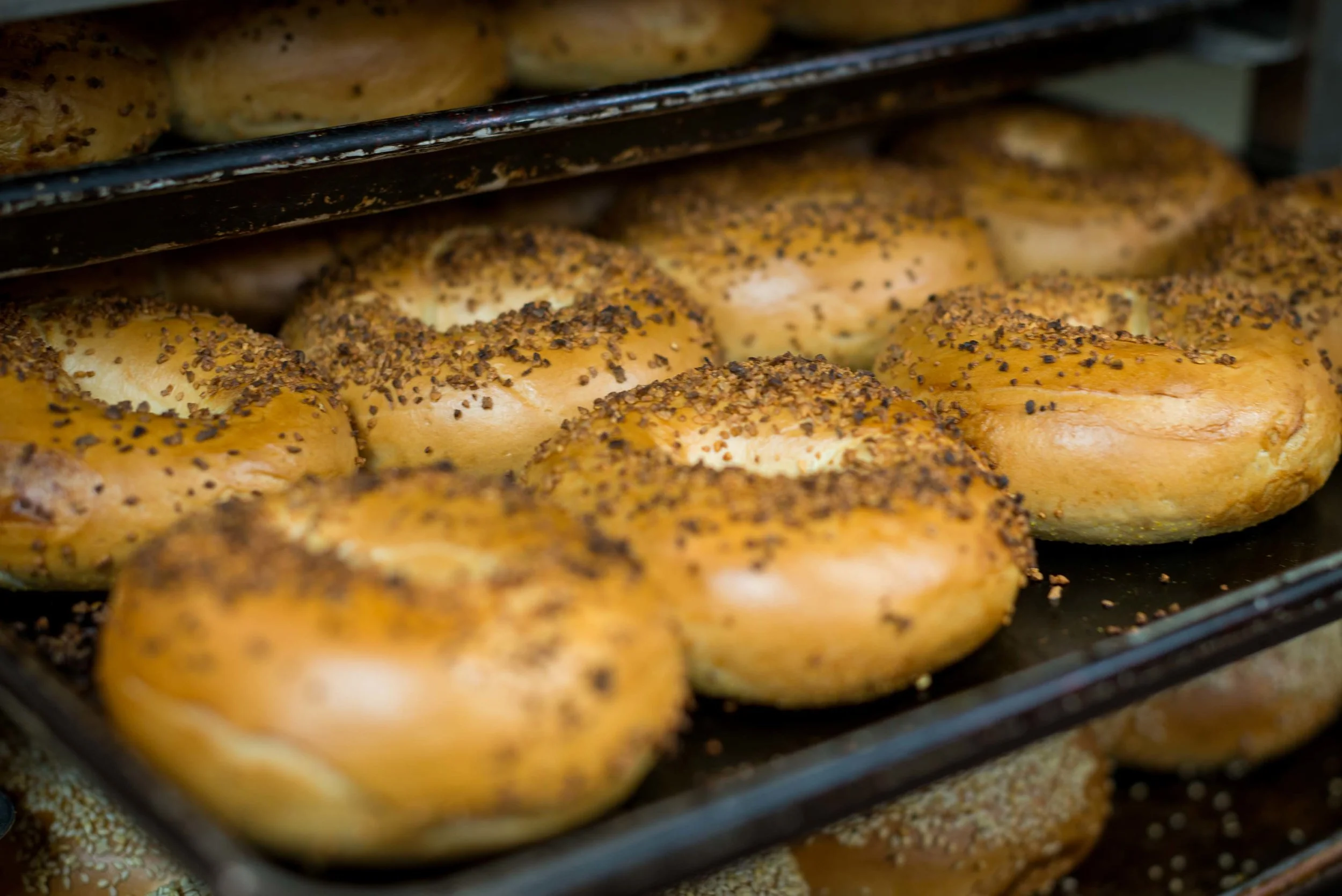 Izzy's Brooklyn Bagels in Palo Alto, CA (5)