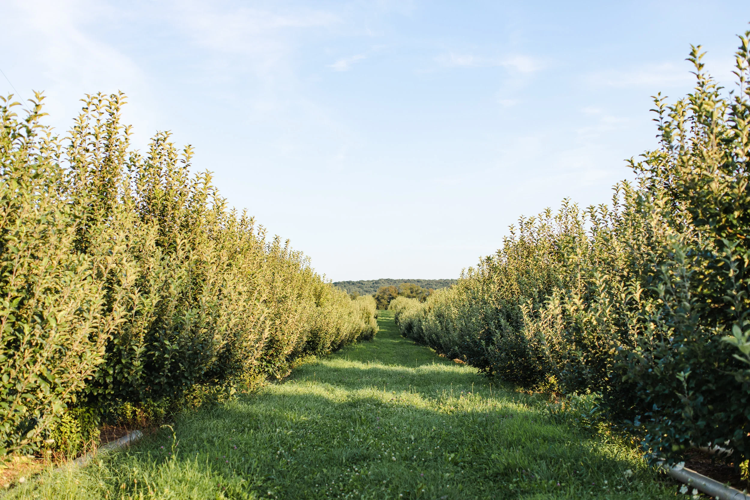 Way Fruit Farm in Port Matilda, PA
