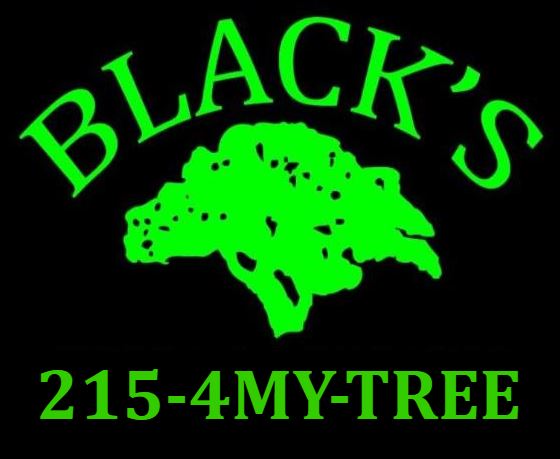 Black's - 4MyTree in Quakertown, PA (5)