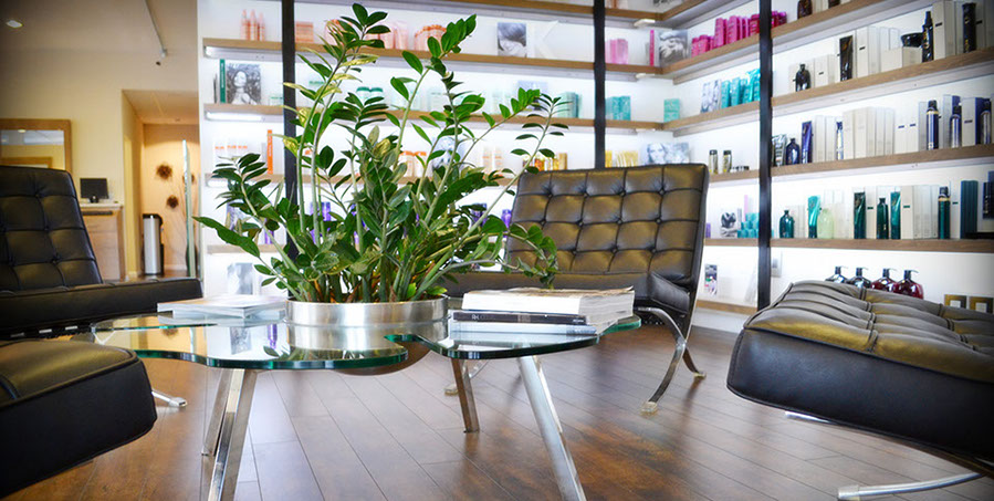 Sasha Salon in San Carlos, CA (2)
