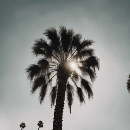🏅Silvia Chapa in Indio, CA (6)