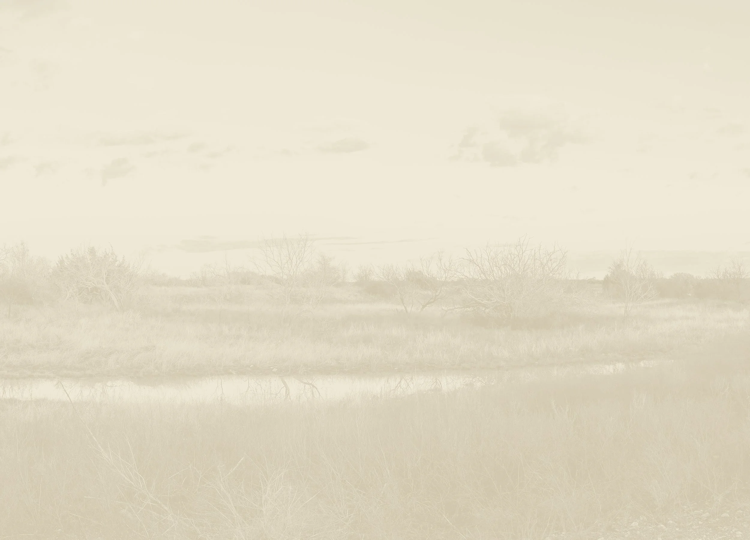 Catherine L. Ozment, CPA PLLC in Edna, TX (3)