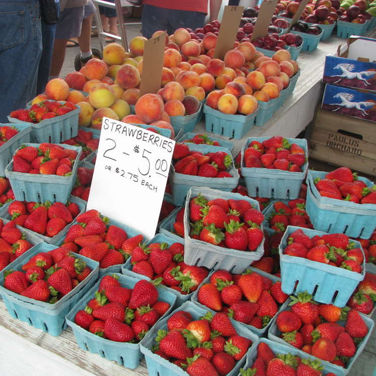 Root's Country Market & Auction in Manheim, PA