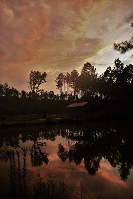 Joyful Acres Farm in Springfield, GA (3)
