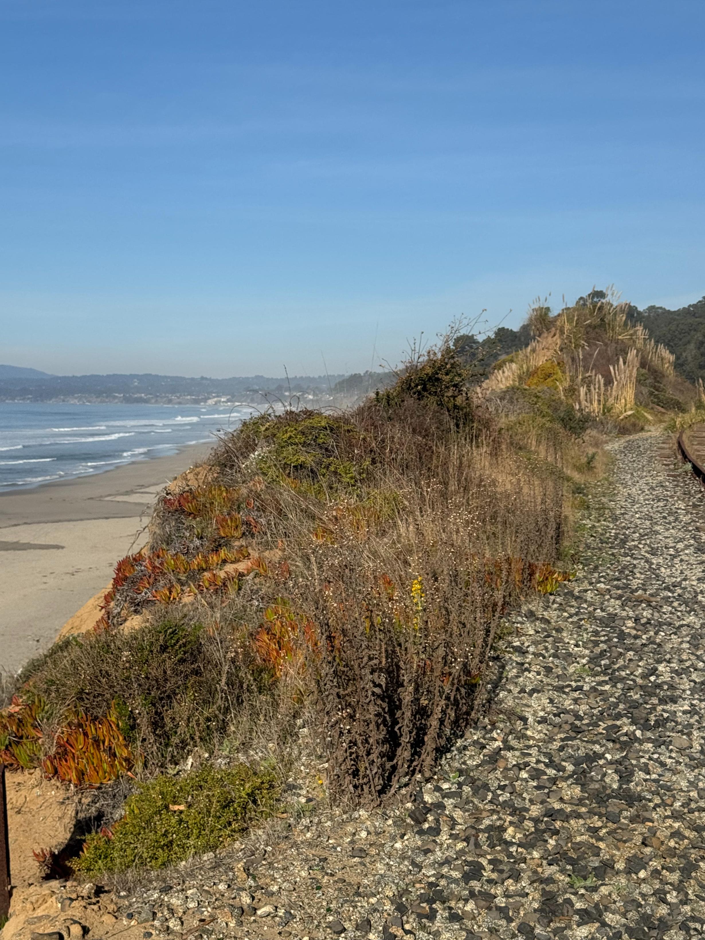 Shemeika Fox - Fox Realty Group, Inc. in Santa Cruz, CA (3)