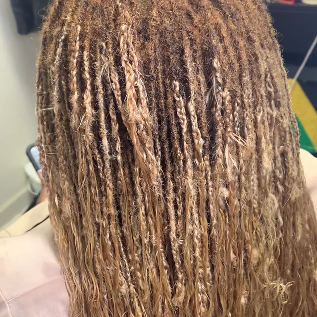 Flyy Stylez By Ty in Gainesville, FL