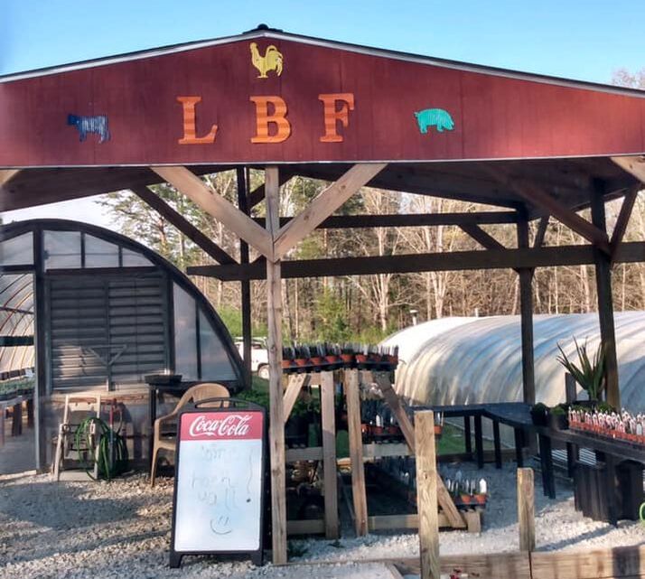Louderbranch Farms in Walhalla, SC (2)