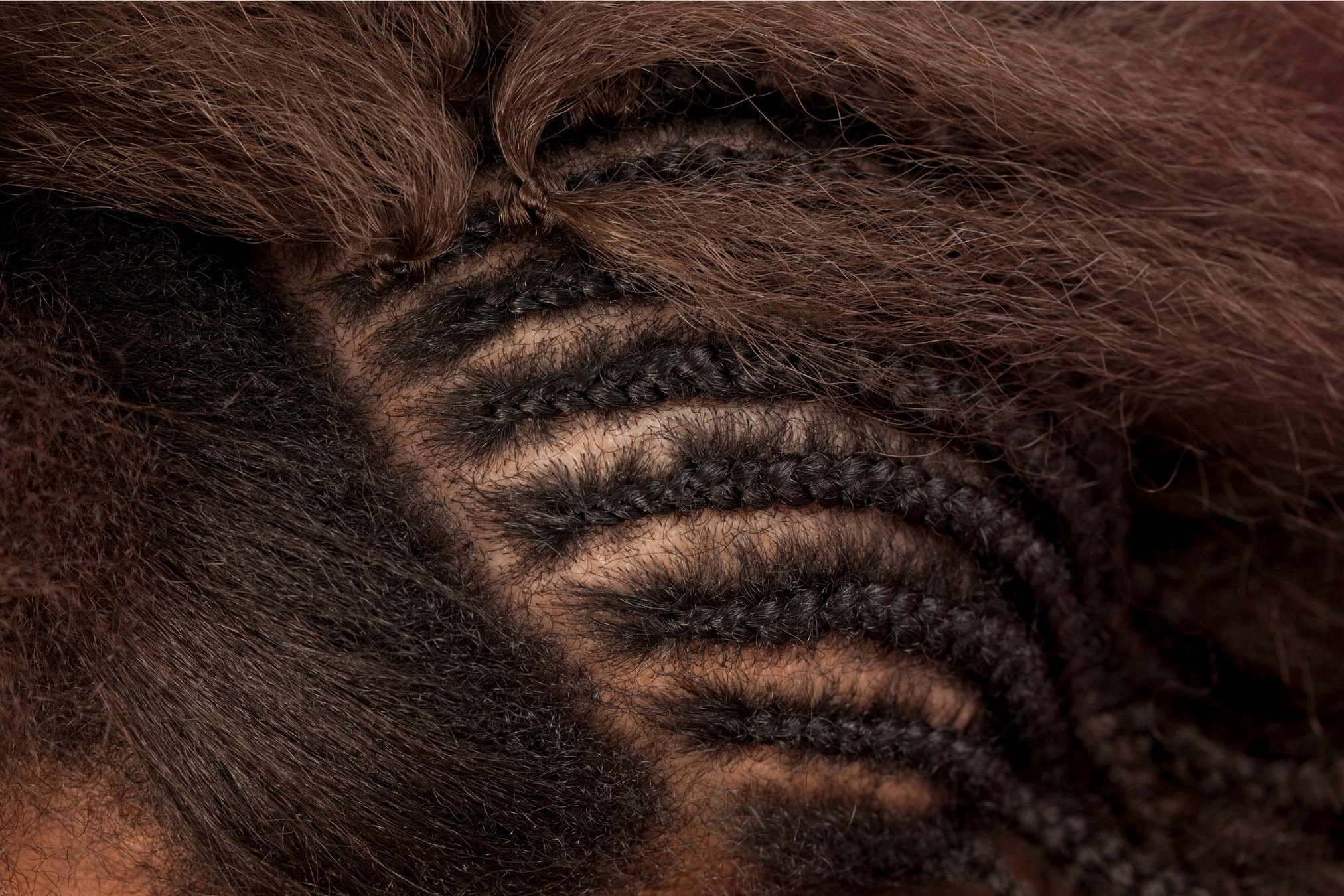 Willows Cove Salon in Mineola, NY (4)
