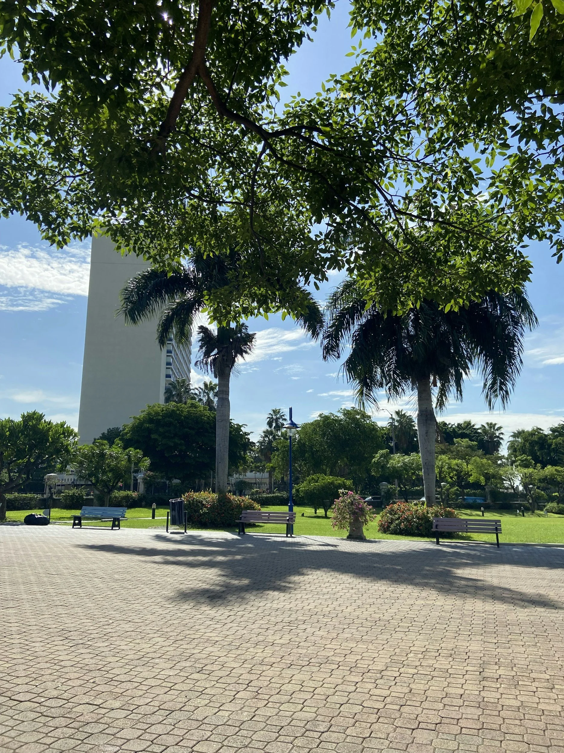 Mangrove Title & Legal, PLLC in Rockledge, FL