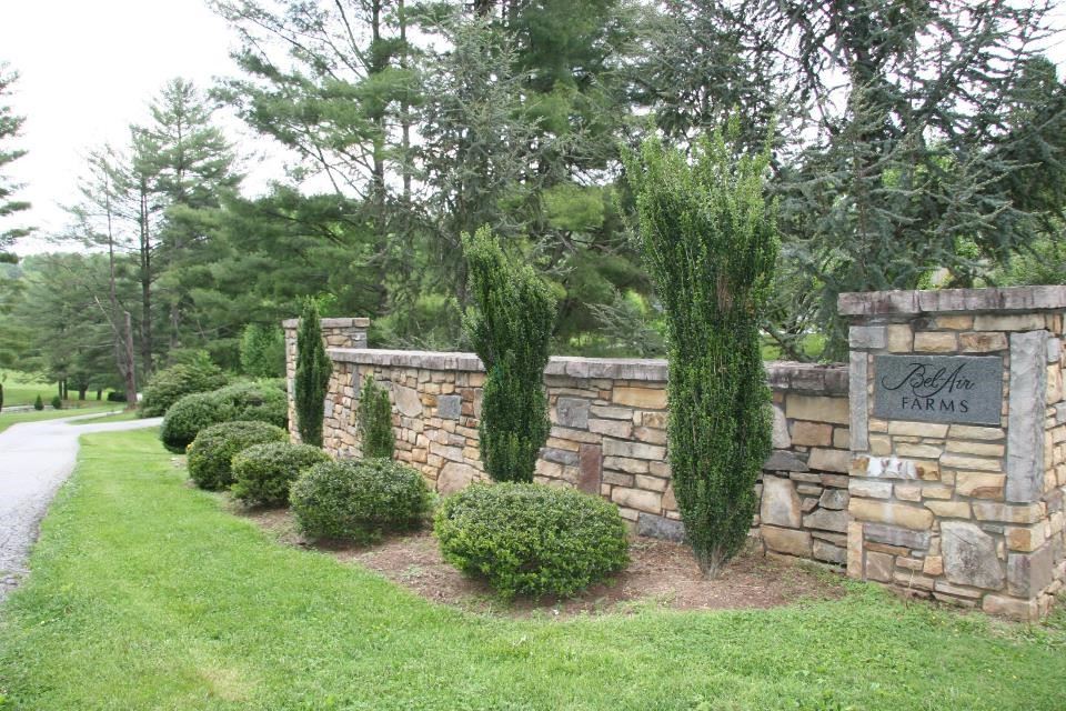 Bel Air Affairs in Horse Shoe, NC (3)