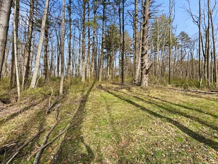 Mossy Oak Properties Bauer Realty & Auctions in Fredericksburg, OH (2)