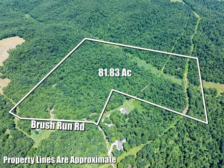 Mossy Oak Properties Bauer Realty & Auctions in Fredericksburg, OH (3)