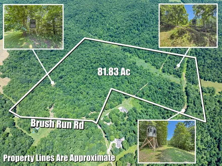 Mossy Oak Properties Bauer Realty & Auctions in Fredericksburg, OH (4)