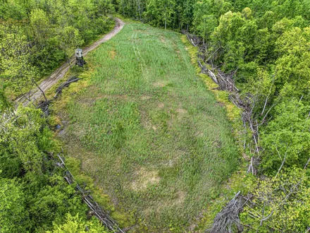 Mossy Oak Properties Bauer Realty & Auctions in Fredericksburg, OH (5)