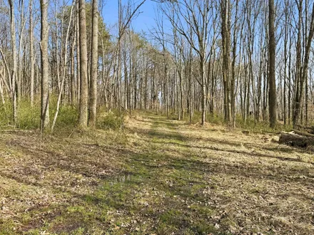 Mossy Oak Properties Bauer Realty & Auctions in Fredericksburg, OH (6)