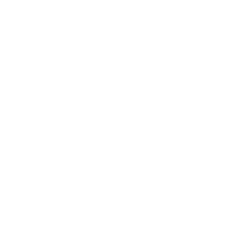 Ayanna C. Fultz, The Southern Belle of Real Estate in New Orleans, LA (4)