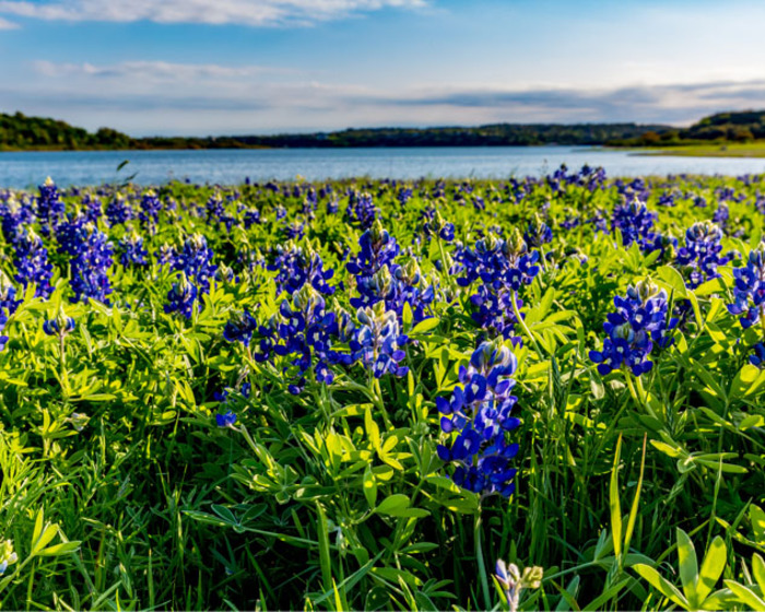 Zina & Company Real Estate in Marble Falls, TX (3)