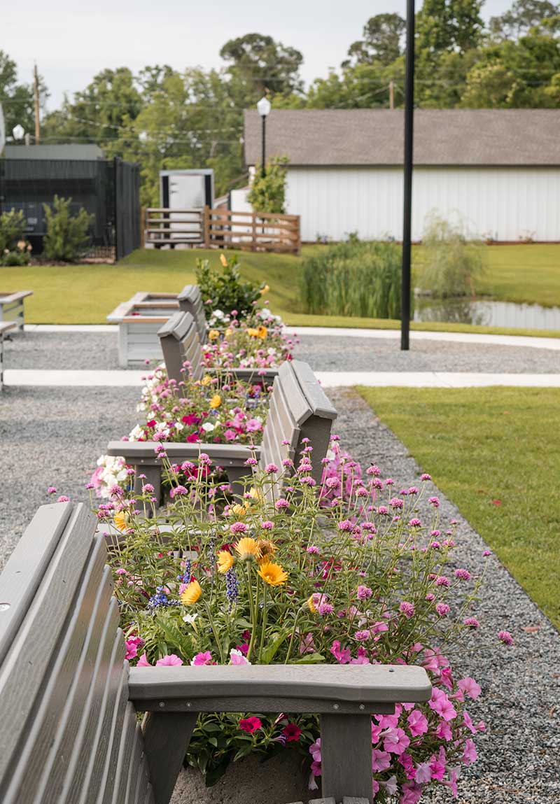 Fancy Girl Farms in Hahira, GA (4)