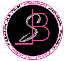 Lsb Dreamhouse in West Palm Beach, FL (6)