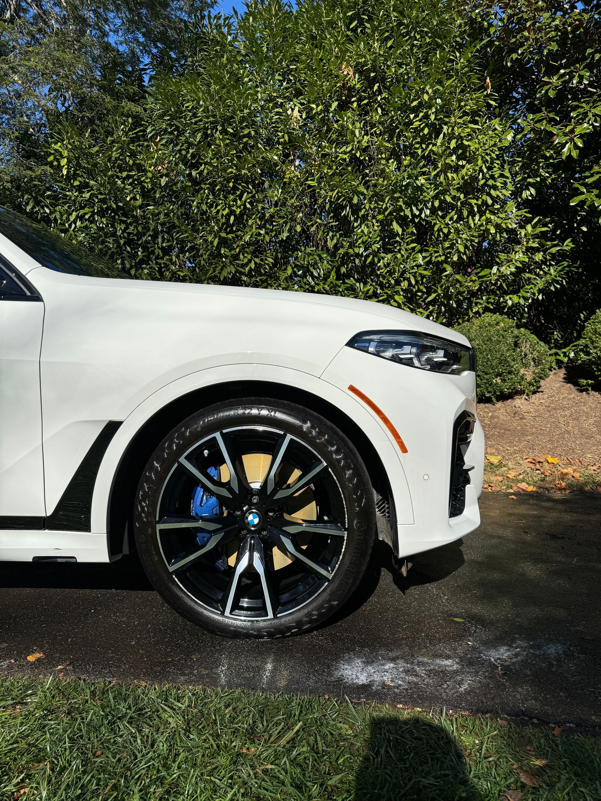 Flawless Auto Spa Auto Detailing in Arden, NC (3)