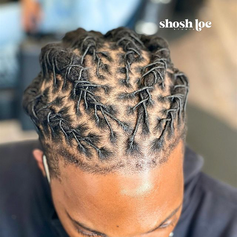 Shosh Loc Studio in Mt Vernon, NY (4)