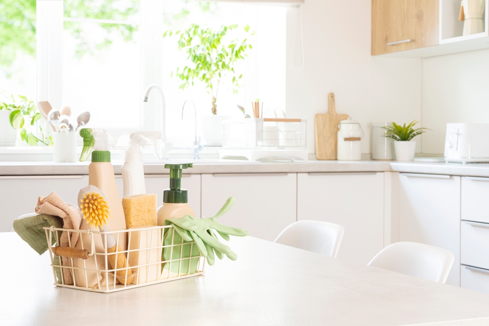 Zen Home Cleaning in New York, NY (2)