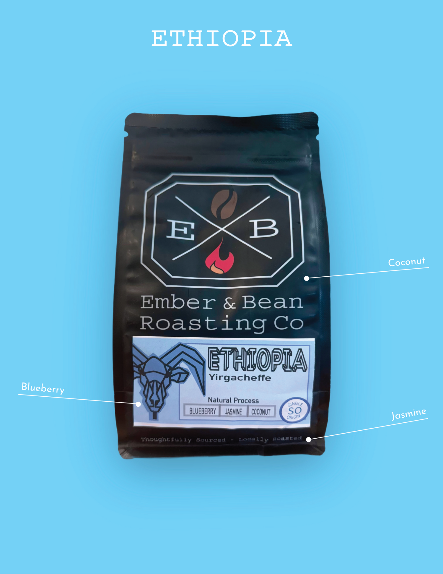 Ember and Bean Roasting Co in Hudson, WI (2)