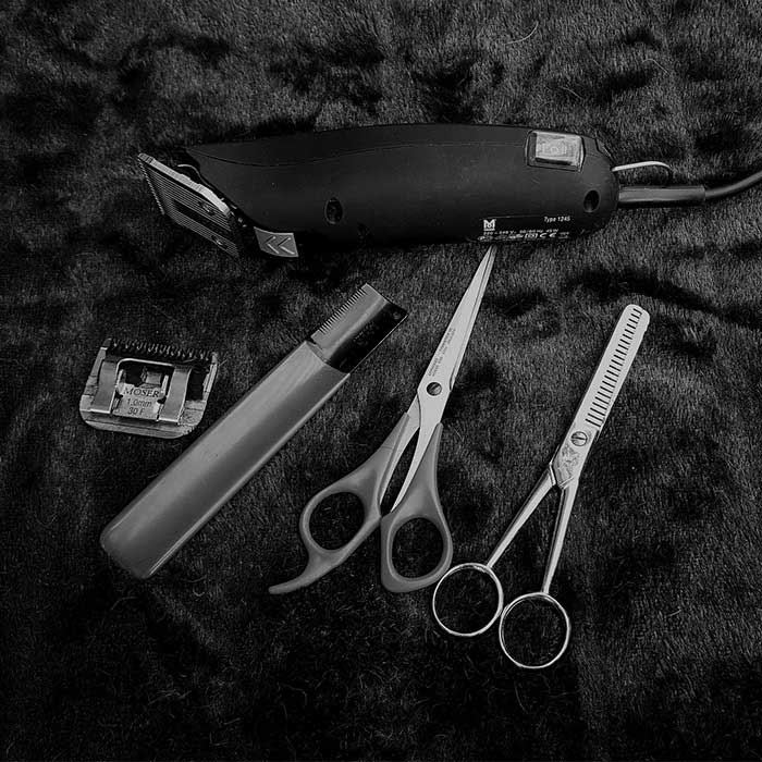 Twenty Five Fifty Hair Studio in San Ramon, CA (5)