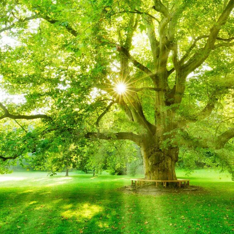 Paramus Estate Planning in Paramus, NJ