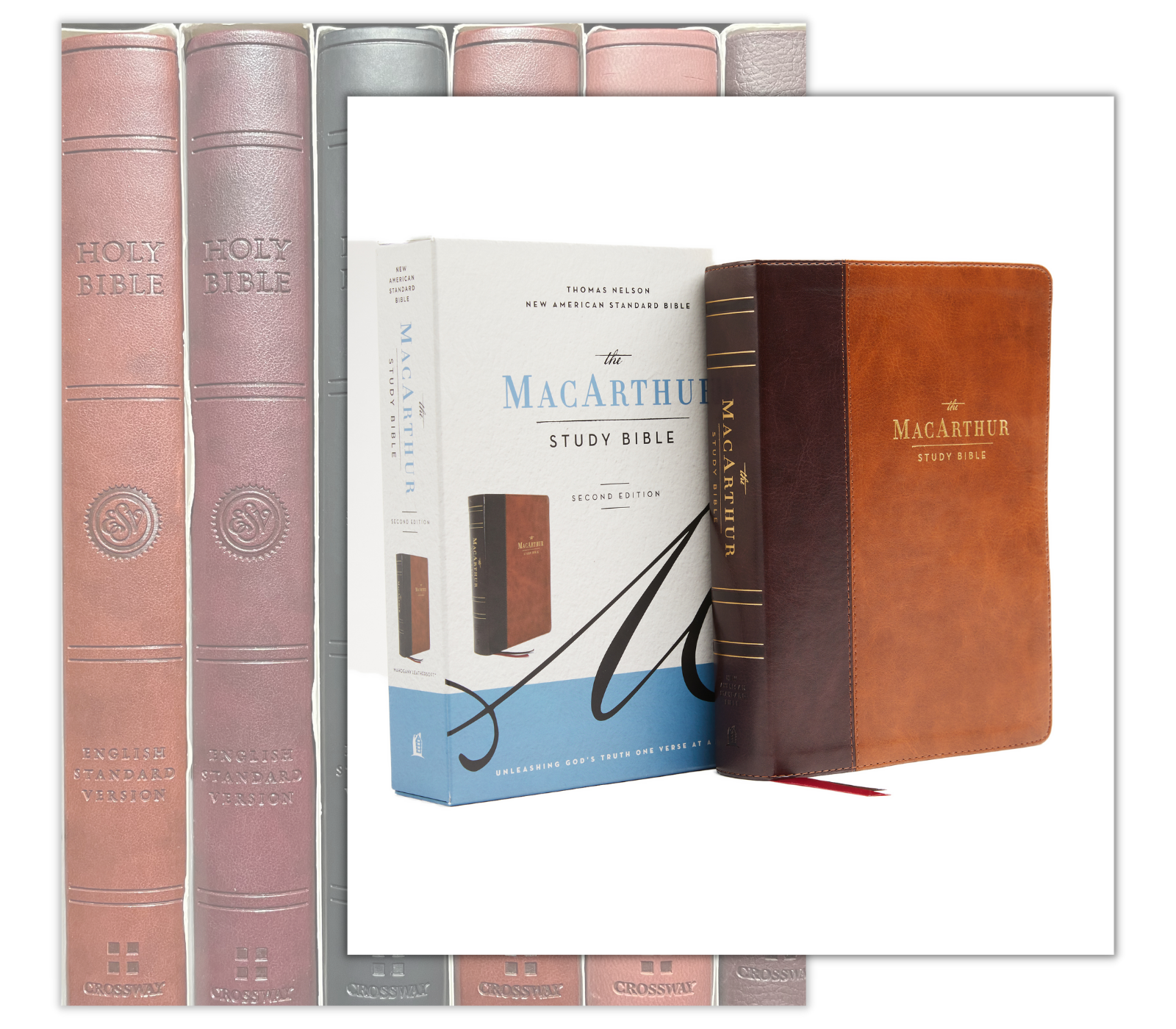 Long's Christian Bookstore in Orlando, FL (5)