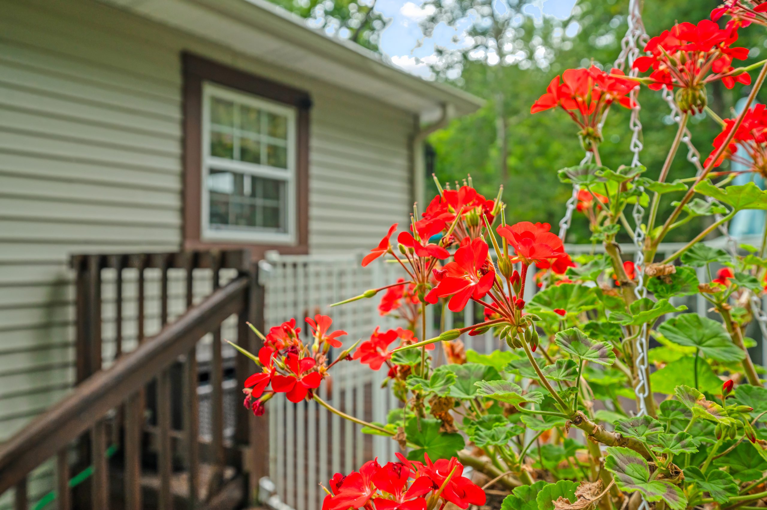 Amber Tilley, Real Estate Broker in Nashville, IN (3)
