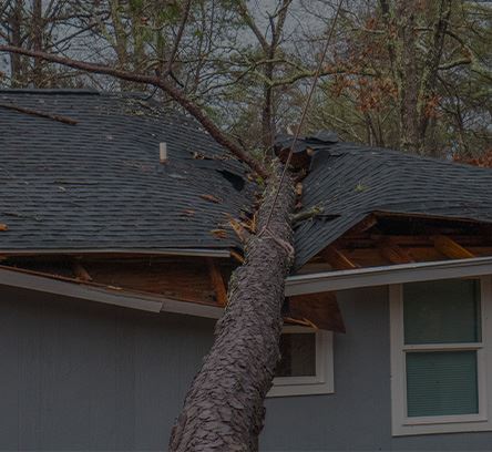 Jorge Munoz Law Office in Edinburg, TX (6)