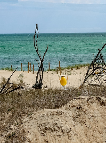 Art's Place in Kitty Hawk, NC
