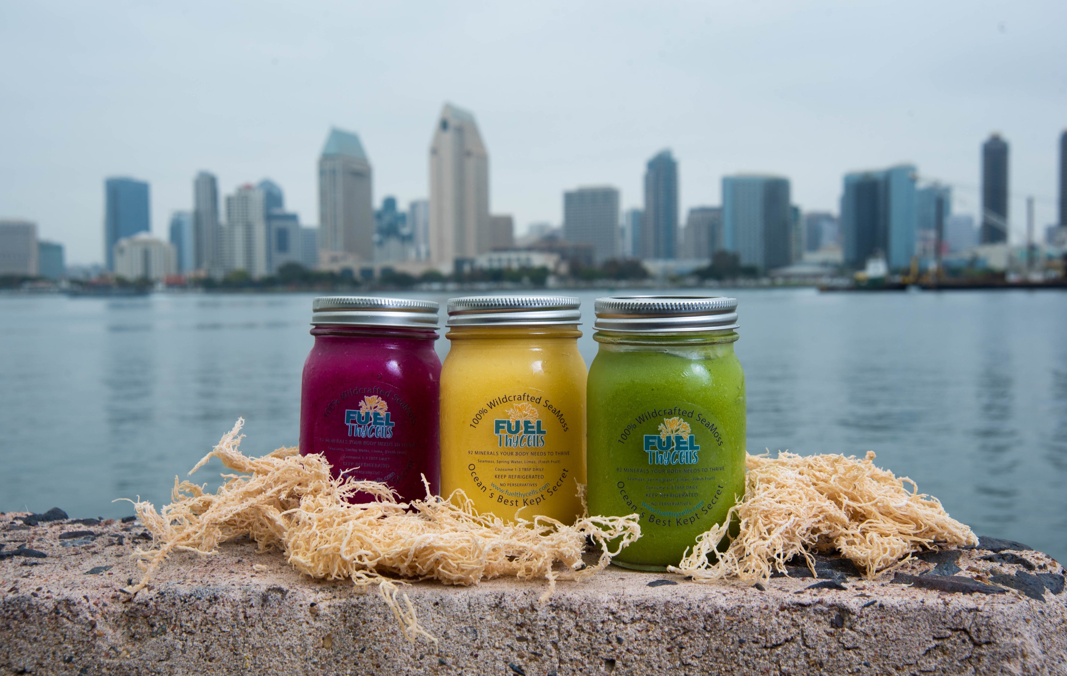 FuelThyCells SeaMoss & Fruit Juice Bar in San Diego, CA (2)