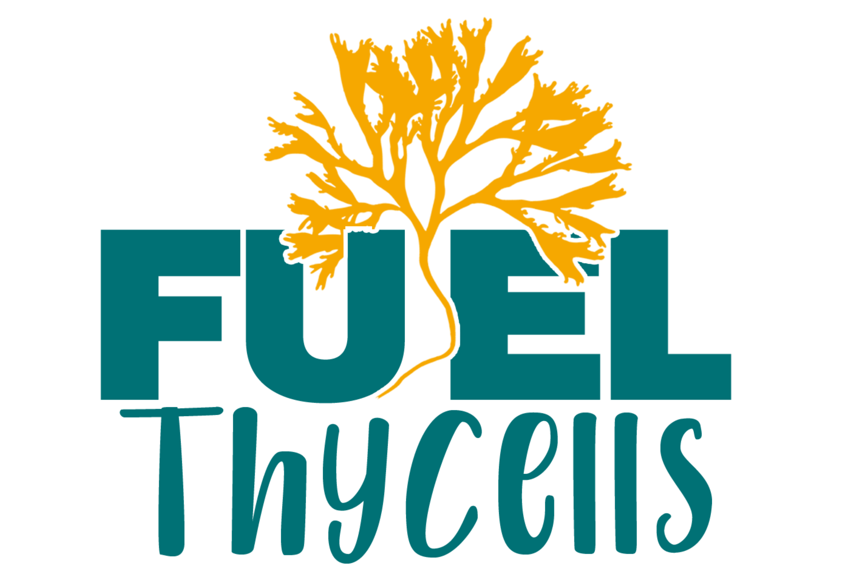 FuelThyCells SeaMoss & Fruit Juice Bar in San Diego, CA (3)