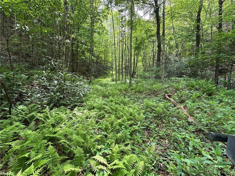 Carolina's Land, Inc. in Ronda, NC