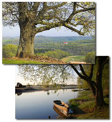 Carolina's Land, Inc. in Ronda, NC (2)