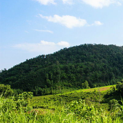 Carolina's Land, Inc. in Ronda, NC (4)