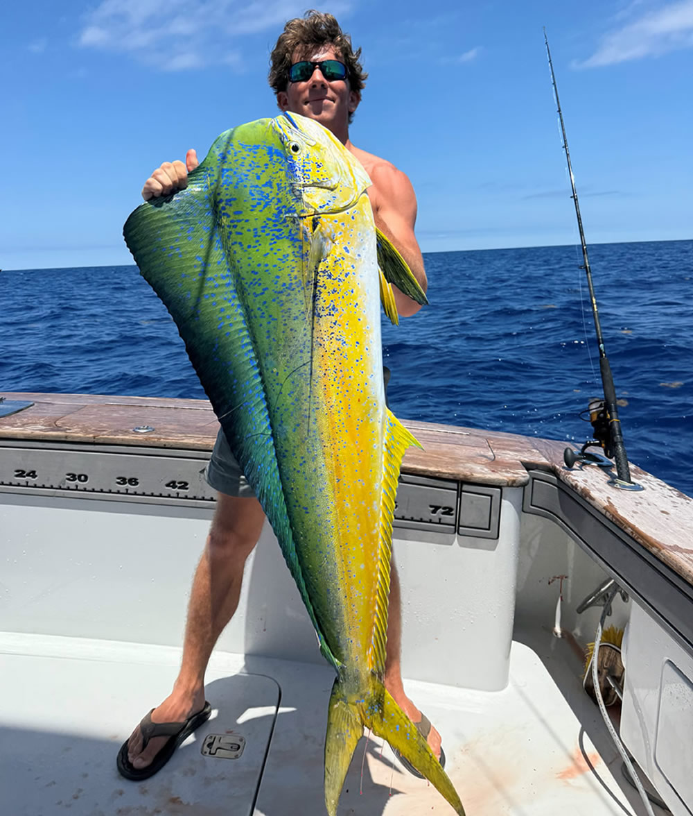 Main Attraction in Marathon, FL