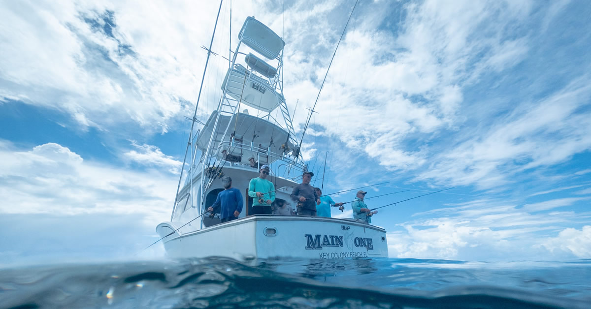 Main Attraction in Marathon, FL (6)