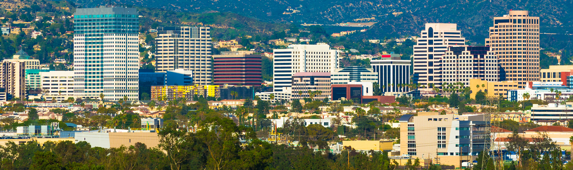 Tom Hernandez Team - Rise Group in Sherman Oaks, CA