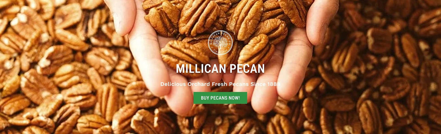 Millican Pecan Company - San Saba, Texas in San Saba, TX (3)