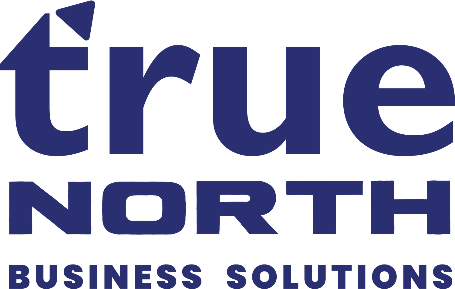 True North Business Solutions, LLC in Rincon, GA (5)