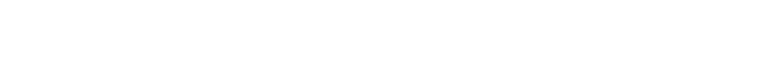True North Business Solutions, LLC in Rincon, GA (6)