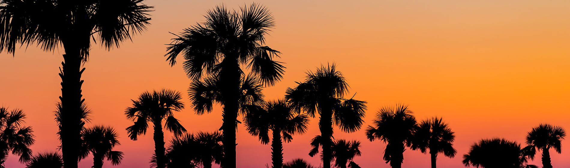 Penny Berg, Realtor in Jupiter, FL (2)