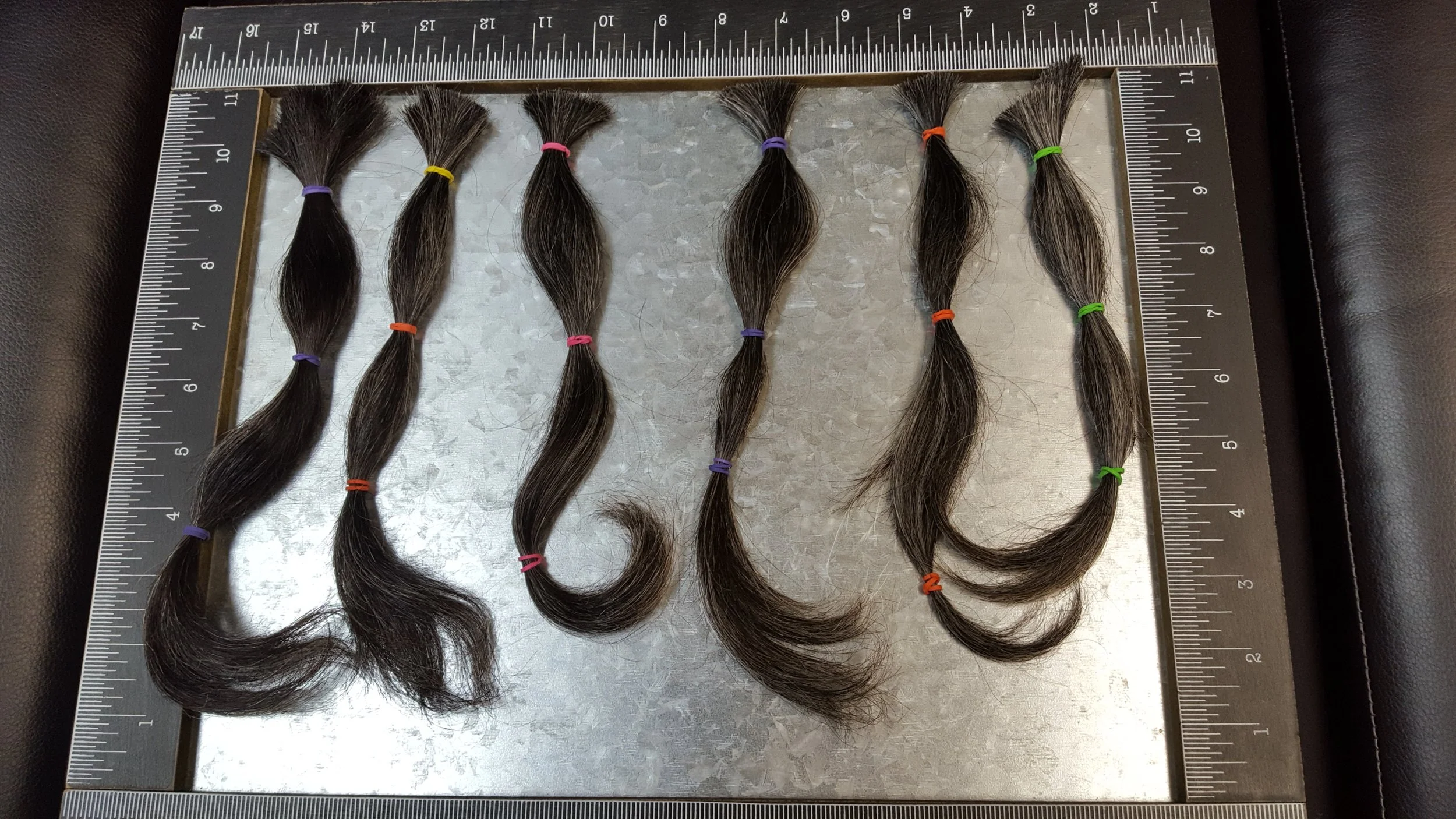 Hair We Share in Jericho, NY (2)