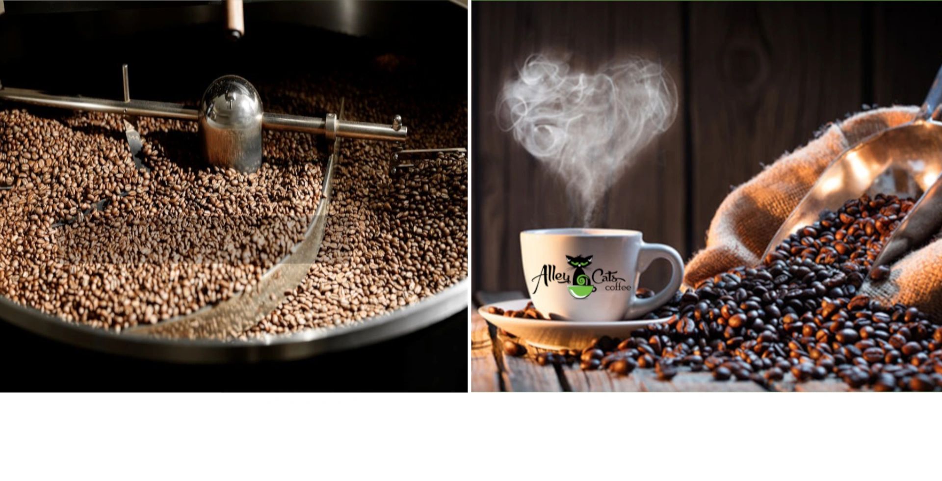 Alley Cats Coffee in Spooner, WI