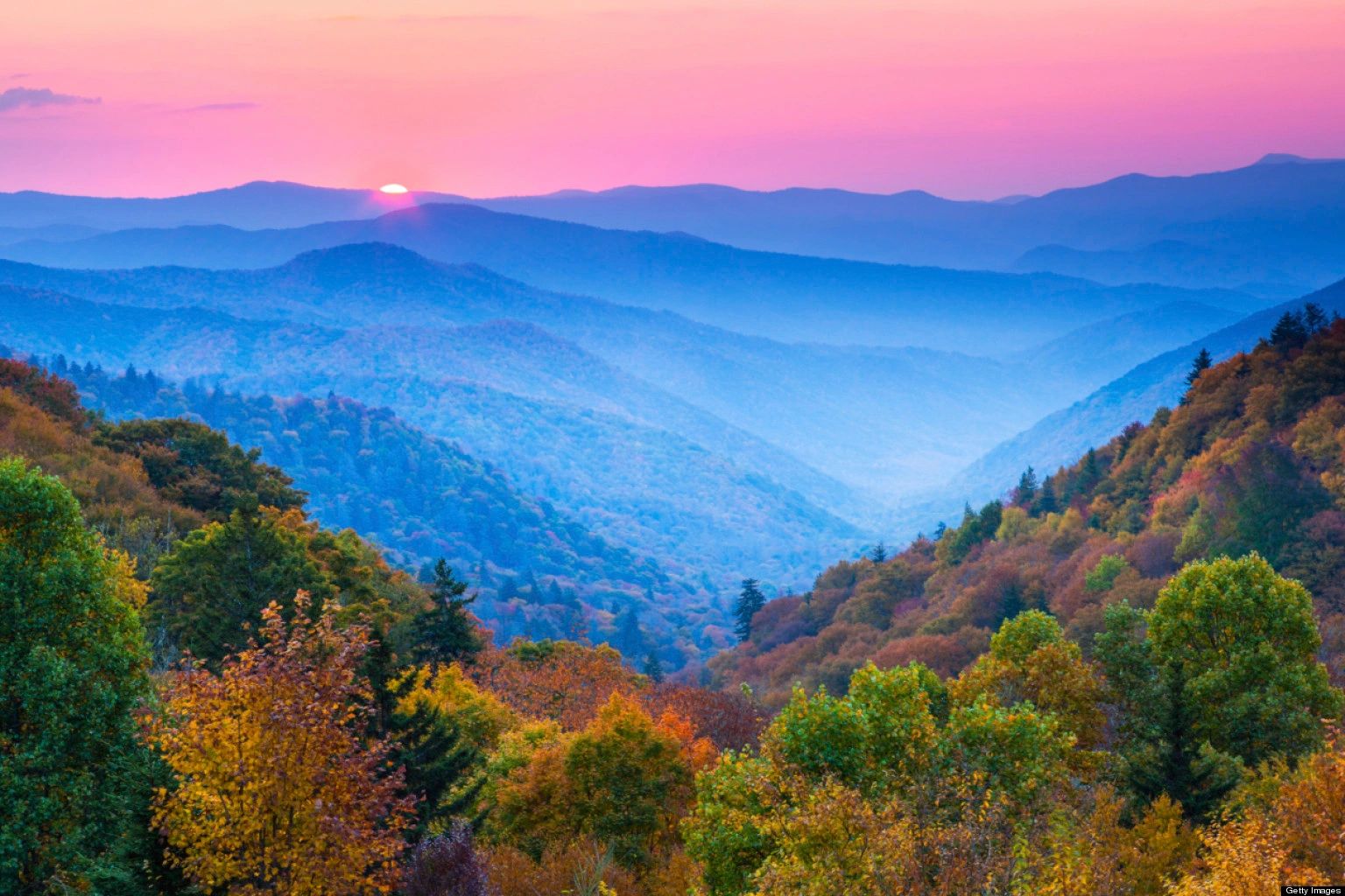 Carlene M. Elswick in Richlands, VA